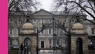 L&aacute;mhleabhar Gn&oacute;