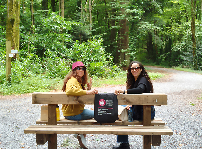 Ionad an Bh&eacute;arla